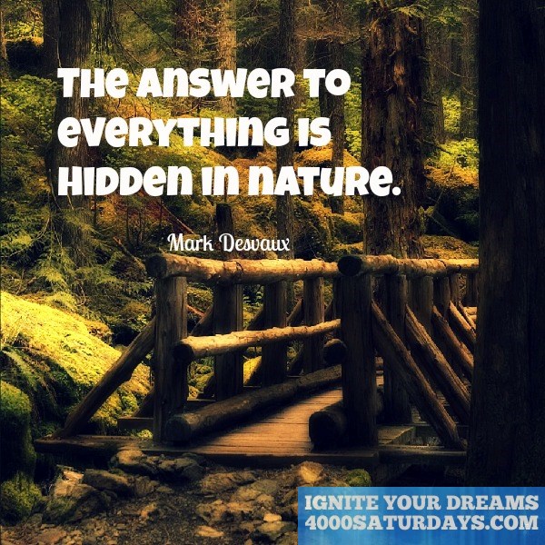 The Answer To Everything Is Hidden In Nature – 4000 Saturdays